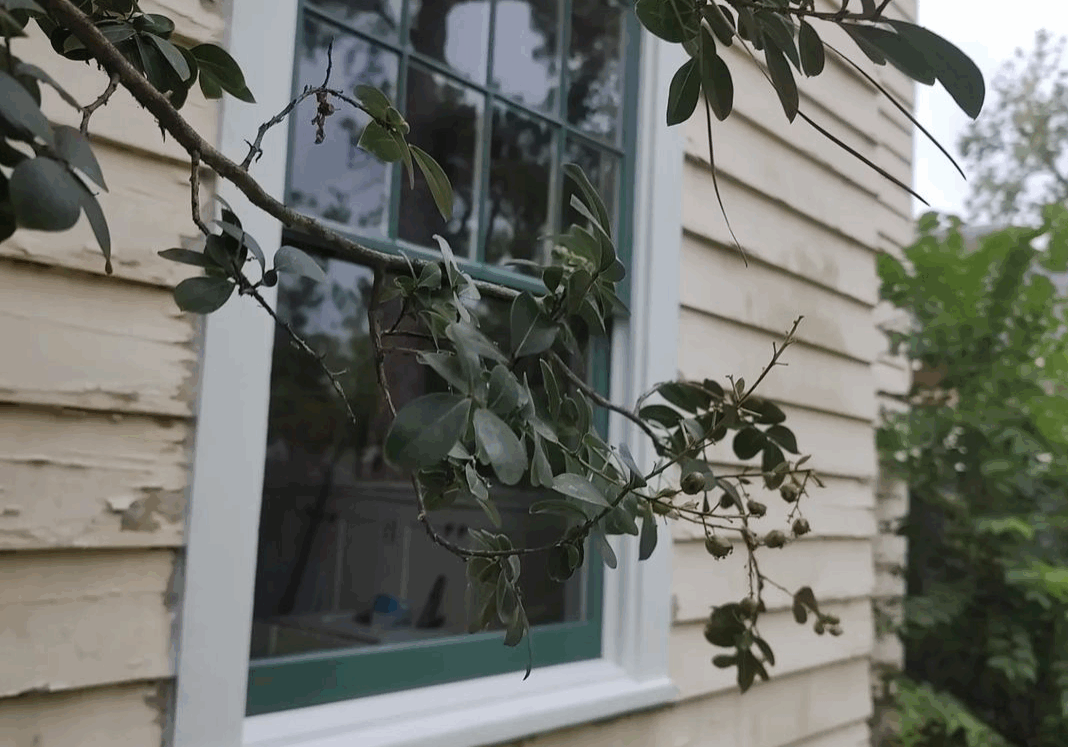 Screenshot_20240505-195314